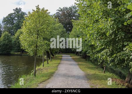 Ein ruhiger Weg entlang eines Sees, umgeben von grünen Bäumen, Gemen, Münsterland, Deutschland, Europa Stockfoto