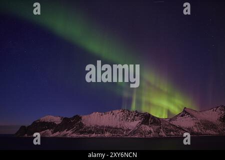 Nordlichter (Aurora borealis), Mefjorden, Senja, Troms, Norwegen, März 2015, Europa Stockfoto