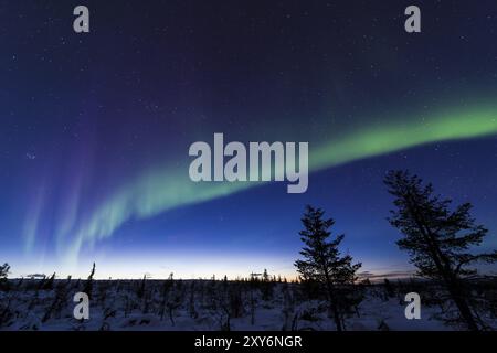 Nordlichter (Aurora borealis) über verschneite Landschaft, Gaellivare, Norrbotten, Lappland, Schweden, März 2013, Europa Stockfoto