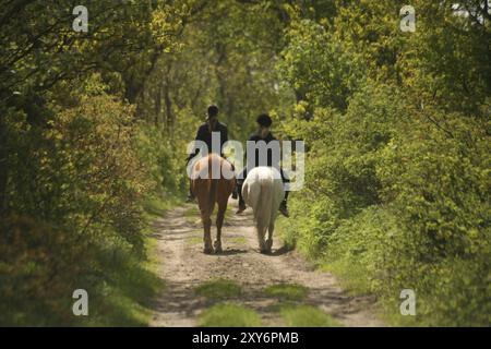 Zwei Mädchen zu Pferd auf einer idyllischen Landstraße Stockfoto