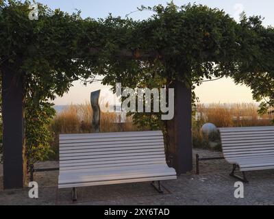 Zwei weiße Bänke unter einer bewachsenen Laube mit Blick auf die Natur im Park, binz, rügen, ostsee, deutschland Stockfoto