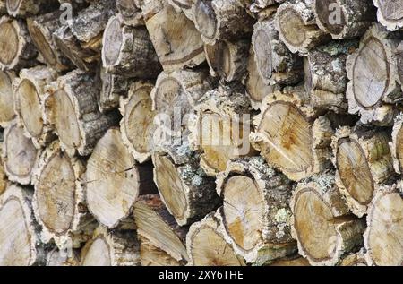 Holzstapel Korkeiche, Holzstapel aus Korkeiche 07 Stockfoto