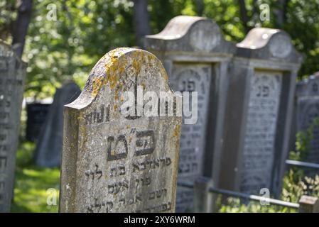 Den Helder, Niederlande, Juni 2022. Alte baufällige jüdische Gräber auf dem Friedhof von den Helder. Selektiver Fokus Stockfoto