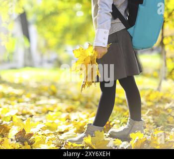 Zurück zur Schule. Kleines Schulmädchen in Schuluniform und stilvollem blauem Schulrucksack, das Spaß mit gelben Ahornblättern im Herbstpark hat Stockfoto