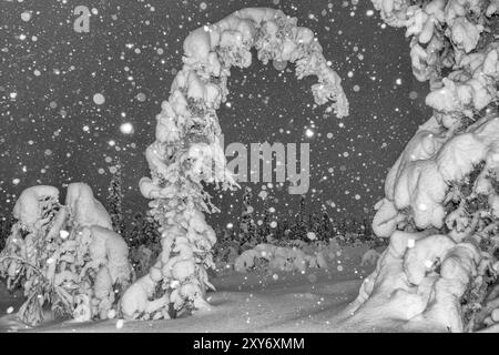 Schneefall in einer schneebedeckten Landschaft, Muddus-Nationalpark, Laponia-Weltkulturerbe, Norrbotten, Lappland, Schweden, Dezember 2012, Europa Stockfoto