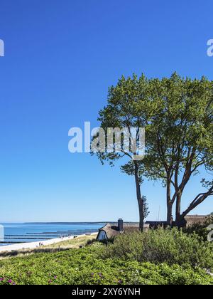 Strand an der Ostsee in der Nähe von Ahrenshoop Stockfoto