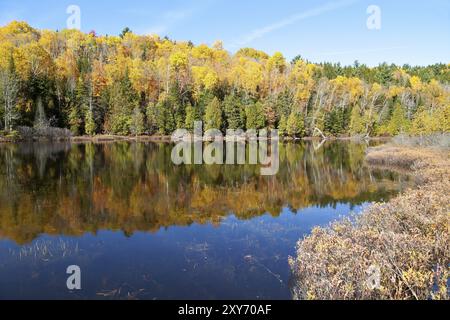 Herbstwaldpanorama am See Sacacomie in Kanada Stockfoto