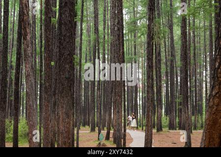 (240828) -- PEKING, 28. August 2024 (Xinhua) -- die Menschen haben Spaß im Songyuan Park in Mohe City, nordöstlich Chinas Provinz Heilongjiang, 4. Juli 2024. Nach einer boomenden Eis- und Schneesaison im letzten Winter erleben die nordöstlichen chinesischen Attraktionen, die zuvor für ihre spektakulären Winterszenen bekannt waren, jetzt einen rasanten Anstieg des Sommertourismus. Chinas nordöstliche Region mit reichlich Eis- und Schneeressourcen hat auch eine hohe Waldbedeckung und angenehme Temperaturen im Sommer. Durch die Schaffung eines dualen touristischen Images -- Eis und Schnee im Winter und kühle Ausflugsziele im Sommer -- die lokale Autorität Stockfoto