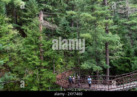 (240828) -- PEKING, 28. August 2024 (Xinhua) -- Touristen besuchen den Shangganling Bachwaldpark in Yichun, nordöstlich Chinas Provinz Heilongjiang, 27. August 2024. Nach einer boomenden Eis- und Schneesaison im letzten Winter erleben die nordöstlichen chinesischen Attraktionen, die zuvor für ihre spektakulären Winterszenen bekannt waren, jetzt einen rasanten Anstieg des Sommertourismus. Chinas nordöstliche Region mit reichlich Eis- und Schneeressourcen hat auch eine hohe Waldbedeckung und angenehme Temperaturen im Sommer. Durch die Schaffung eines dualen touristischen Images -- Eis und Schnee im Winter und kühle Kurzurlaube im Sommer -- das Lo Stockfoto