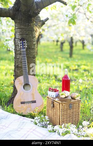 Gitarre, Korb, Sandwiches, Plaid und Saft in einem blühenden Garten. Vintage-zarten Hintergrund. Romantik, Liebe, Datum Stockfoto