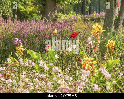 Blumenwiese mit einer bunten Mischung aus gelben und roten Blüten, umgeben von grünen Bäumen, Bad Lippspringe, Deutschland, Europa Stockfoto