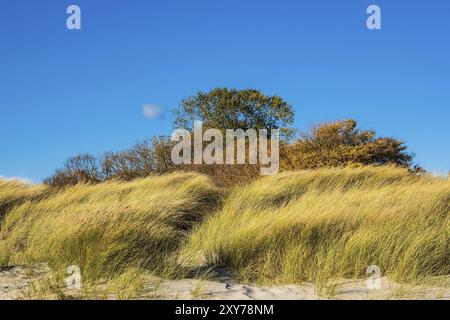 Ostseeküste bei Klintholm Havn in Dänemark Stockfoto