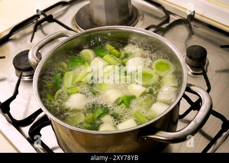 Kochendes Wasser mit Lauch-Stücken Stockfoto