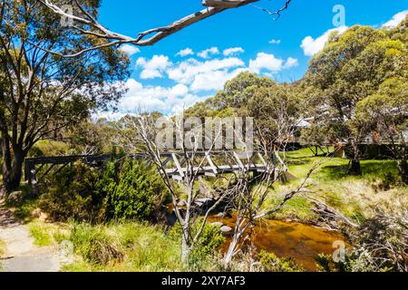 Wanderwege rund um den Thredbo Riover und den Thredbo Golf Course in Thredo in den Snowy Mountains, New South Wales, Australien Stockfoto