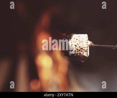 Nahaufnahme von einem Marshmallow am Stiel über dem Feuer geröstet Stockfoto
