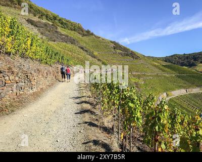 Wanderer auf dem Rotweinpfad im Ahrtal Stockfoto