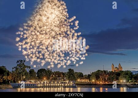 Feuerwerk über dem Rhein mit einem Schiff und den Dom in Speyer in Deutschland Stockfoto