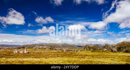 Blick auf die Landschaft entlang des Porcupine Walking Track an einem Sommertag im Kosciuszko National Park, Snowy Mountains, New South Wales, Australien Stockfoto