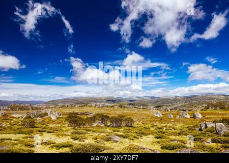 Blick auf die Landschaft entlang des Porcupine Walking Track an einem Sommertag im Kosciuszko National Park, Snowy Mountains, New South Wales, Australien Stockfoto