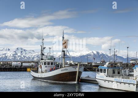 HUSAVIK, ISLAND, 29. JUNI: Walbeobachtungsboot fährt am 29. Juni 2013 in H mit verankerten Segelbooten und Bergen in den Hafen von Husavik ein Stockfoto