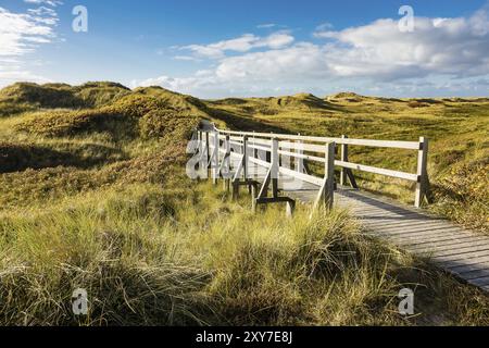 Landschaft in den Dünen auf der Insel Amrum Stockfoto