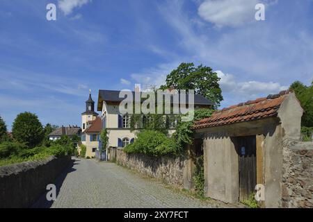 Blick auf die Weinberge von Radebeul. Weinberge in der Nähe von Radebeul, Dresden, Deutschland, Europa Stockfoto