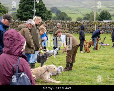 Ein Hundeshow-Wettbewerb bei der Reeth Show in Swaledale, Yorkshire Dales, Großbritannien. Stockfoto