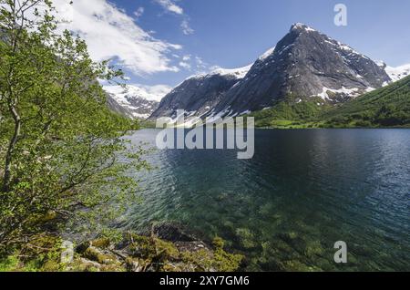Landschaft am Kjoesnesfjorden, Joelster, Sogn og Fjordane Fylke, Norwegen, Mai 2012, Europa Stockfoto