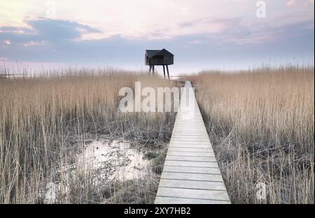 Holzweg zum Vogelbeobachtungsturm an der Küste Stockfoto