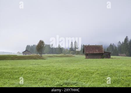 Bauernhütten auf der Weide im Nebel, bayerische Alpen Stockfoto