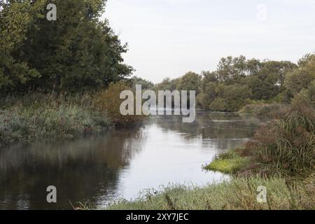 Isar altes Wasser, Isar Rückwasser Stockfoto