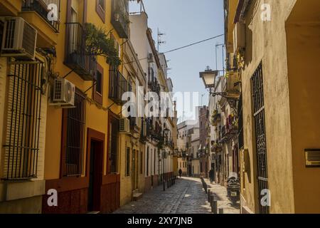 Gasse mit bunten Häusern in der Altstadt, Pasaje Del Marques de Esquivel (Casco Antiguo), in Sevilla, Spanien, Europa Stockfoto