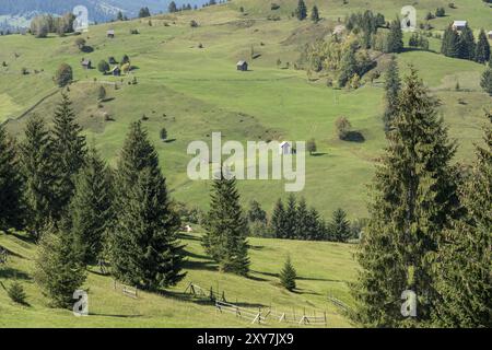 CAMPULUNG MOLDOVENESC, TRANSSILVANIEN/RUMÄNIEN, 18. SEPTEMBER: Ackerland in der Nähe von Campulung Moldovenesc Transsilvanien Rumänien am 18. September 2018 Stockfoto