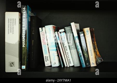 Tabanan, Bali, Indonesien - 27. August 2024: Schwarzes Bücherregal mit einer Sammlung von Büchern Stockfoto