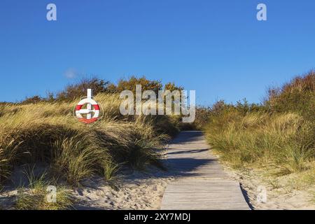 Ostseeküste bei Klintholm Havn in Dänemark Stockfoto