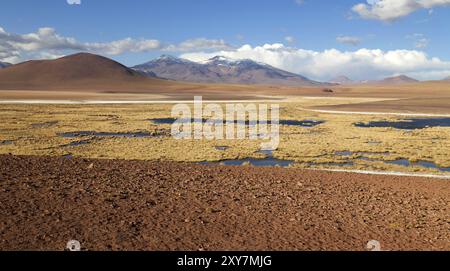 Bergpanorama in der Atacama-Wüste in Chile bei San Pedro de Atacama Stockfoto