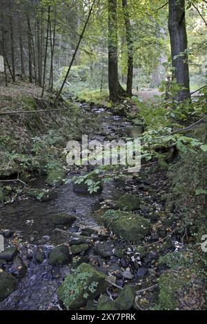 Im Silberbachtal (Lipperland) Stockfoto