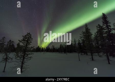 Nordlichter (Aurora borealis), Muddus-Nationalpark, Laponia-Weltkulturerbe, Norrbotten, Lappland, Schweden, Dezember 2016, Europa Stockfoto