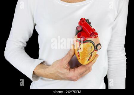 Weibliche Hand hält menschlichen Herzen Modell vor der weißen Körper auf schwarzem Hintergrund Stockfoto