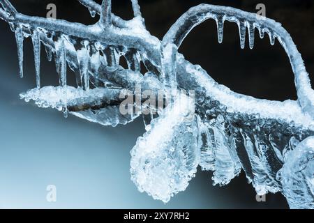 Eisbedeckte Zweige, Gaellivare, Norrbotten, Lappland, Schweden, November 2015, Europa Stockfoto