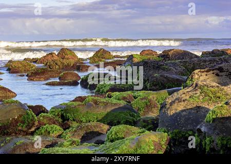 Bemoosten Steinen zwischen den Gewässern des Cal Beach in Torres-Stadt, Rio Grande do Sul Stockfoto