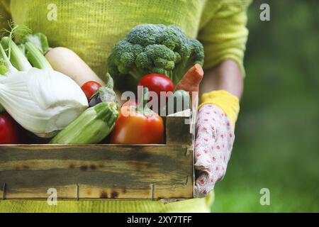 Frau mit Handschuhen mit frischem Gemüse in der Box in den Händen. Nahaufnahme Stockfoto