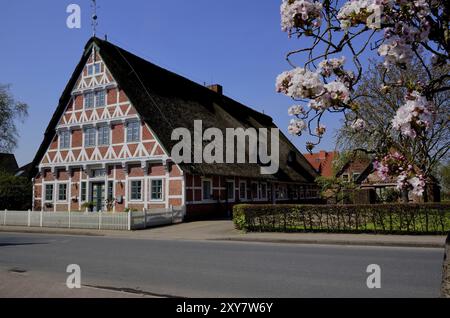 Europa, Deutschland, Niedersachsen, altes Land bei Hamburg, Steinkirchen an der Luehe, altes Fachwerkbauernhaus hinter dem Lueher Deich, künstlerischer Ziegelstein Stockfoto