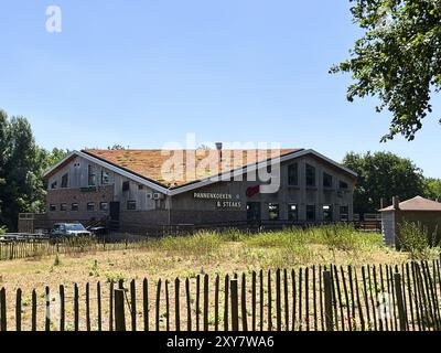 Den Helder, Niederlande. Juni 2023. Umweltfreundliche Dächer von Sedum Stockfoto