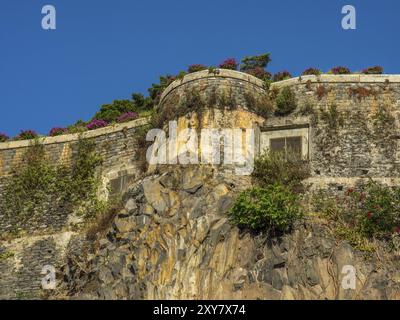 Steinmauer mit Pflanzen und Moos, vor blauem Himmel und alten Ruinen, Funchal, madeira, portugal Stockfoto