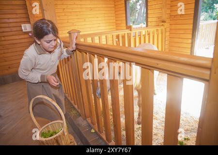 BAKU, ASERBAIDSCHAN 4.10.2022 . Das Kind ernährt den Vater im Zoo. Kleine Kinder füttern Ponypferd auf einer Tierfarm. Süße junge Jungen und Mädchen Fütterung p Stockfoto