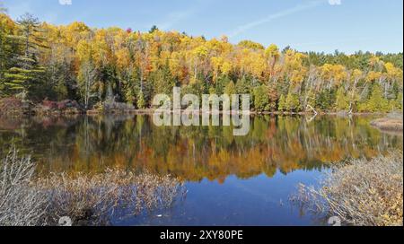 Herbstwaldpanorama am See Sacacomie in Kanada Stockfoto