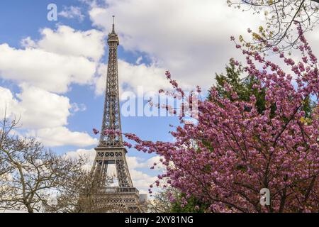 Paris Frankreich City Skyline am Eiffelturm mit Feder kirsche Blüte Blume Stockfoto