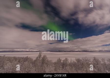 Nordlichter (Aurora borealis) über dem Tornetraesk-See, Norrbotten, Lappland, Schweden, Januar 2016, Europa Stockfoto