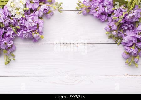 Lilafarbenes Matthiola-Blüten über hellem grauen Steinhintergrund, Frühlingskonzept mit Kopierraum Stockfoto